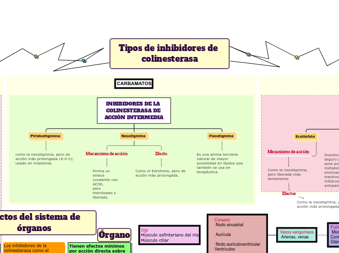Tipos de inhibidores de colinesterasa - Mind Map
